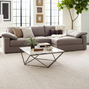 Comfortable carpet | Bob's Carpet and Flooring