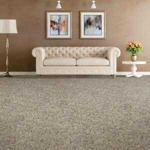 Soft comfortable carpet | Bob's Carpet and Flooring