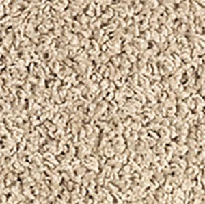 Frieze Loop Carpet | Bob's Carpet and Flooring