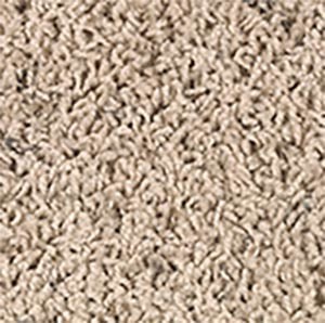 Frieze Loop Carpet