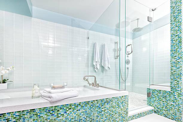 Shower room lavish interior