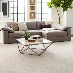 Living room with a modern coffee table and light carpet flooring