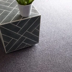 Grey carpet floors