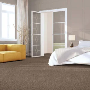 Brown carpet flooring in a bright bedroom