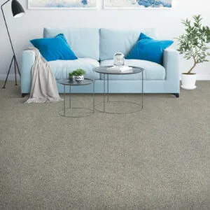 Grey carpet floors with a blue sofa