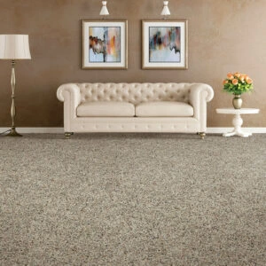 Traditional living room with carpet floors and brown walls