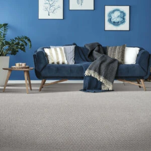 Blue living room with grey carpet flooring