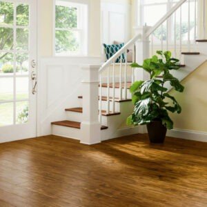 Acacia Luxury Vinyl tile in a bright entry hall