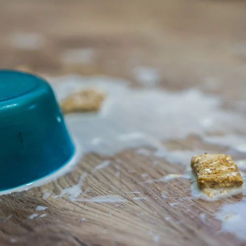 Cereal bowl spilled on luxury vinyl floors