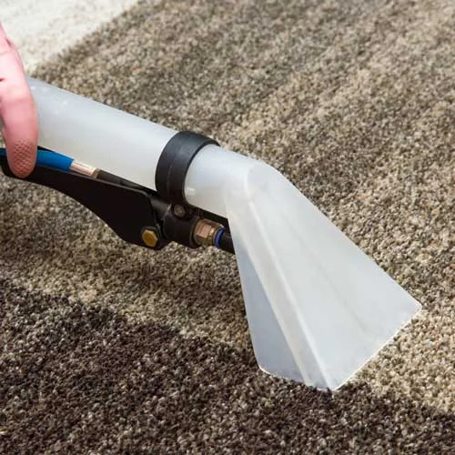 Professional carpet cleaning